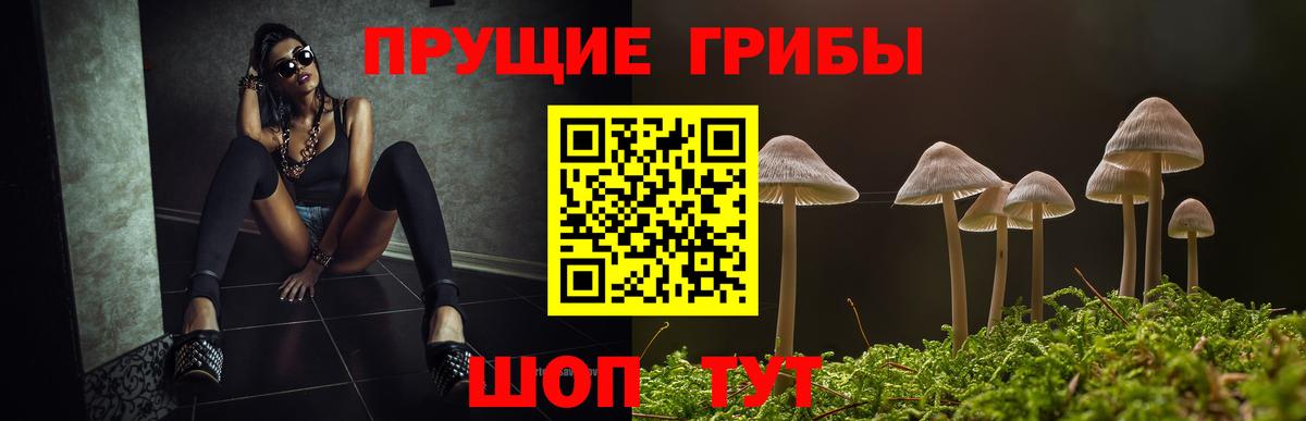 Псилоцибиновые грибы Psilocybine cubensis Елизово